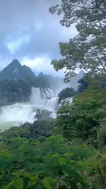 小猫钓鱼正版下载中文版